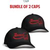 Bundle of  2 Labaik Ya Hussain Kids Caps